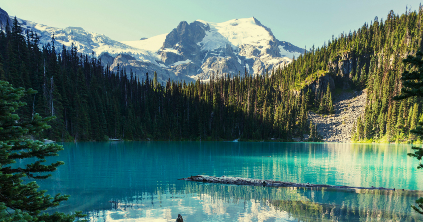 <who> Photo credit: 123RF