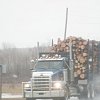 BC Forest Safety Council says a logging truck driver died near Logan Lake on Monday