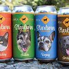 Your pet could be the face of Yellow Dog beer as part of BC SPCA fundraiser