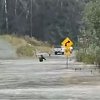 Two dead, one missing in BC after mudslide, road washout triggered by heavy rain