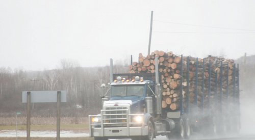 BC Forest Safety Council says a logging truck driver died near Logan Lake on Monday