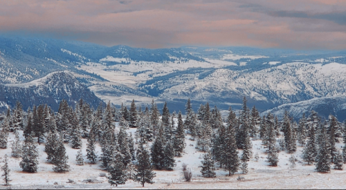 Group raises a quarter of its $1M goal to protect Juniper Ridge grasslands