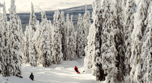 Big White: Plenty of fresh snow to end the last weekend of 2024