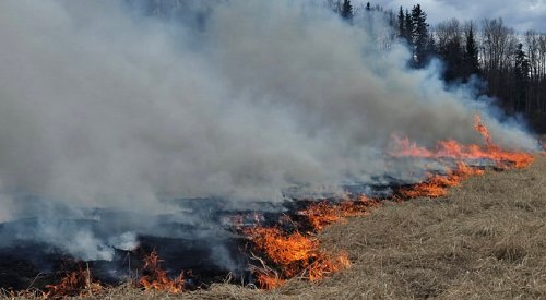 Prescribed burn in area of Lake Country’s Jack Seaton Park could begin next week