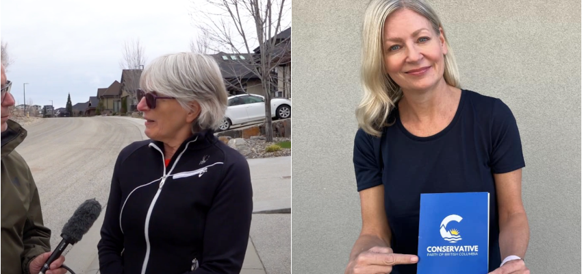 VIDEO: Petition calls on Kelowna-Lake Country-Coldstream MLA to resign